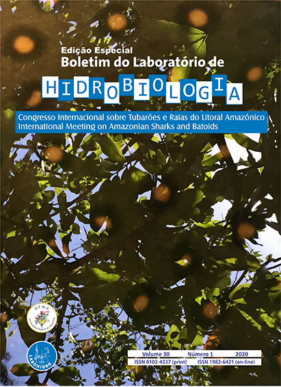 Logo do cabeçalho da página